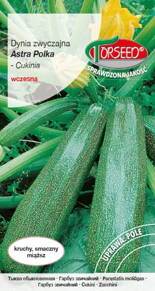 dynia Cukinia Astra Polka nasiona torseed