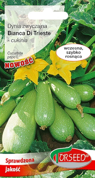 dynia zwyczajna bianca di trieste