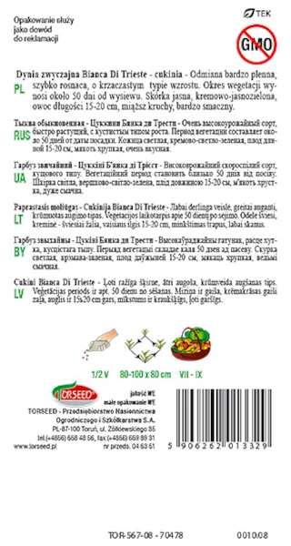 dynia zwyczajna bianca di trieste rewers