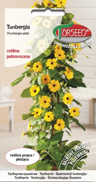 Tunbergia żółta - roślina pnąca - nasiona kwiatów Torseed