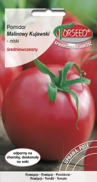Pomidor Malinowy Kujawski gruntowy nasiona Torseed