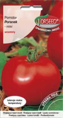 Pomidor gruntowy Poranek nasiona Torseed