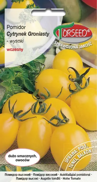 Pomidor żółty Cytrynek Groniasty czereśniowy typ cherry nasiona Torseed