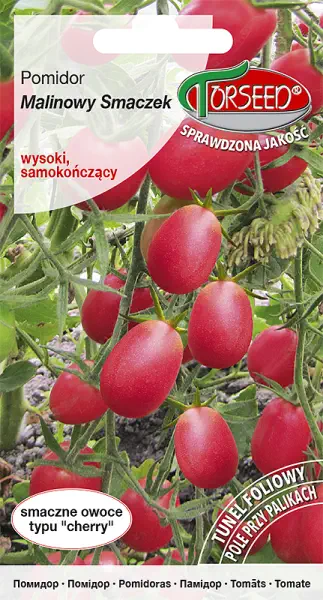 Pomidor Malinowy Smaczek czereśniowy typ cherry nasiona Torseed