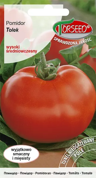 Pomidor wysoki Tolek nasiona Torseed