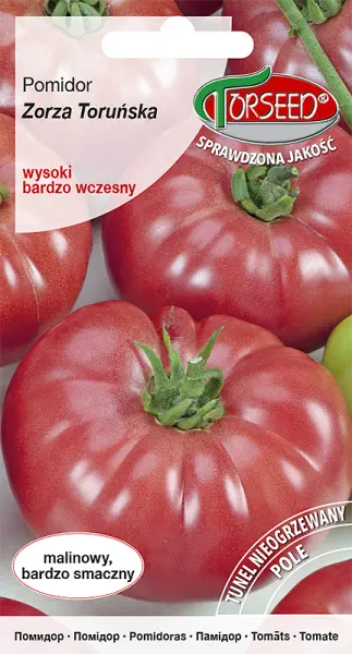 Pomidor malinowy wysoki Zorza Toruńska nasiona Torseed
