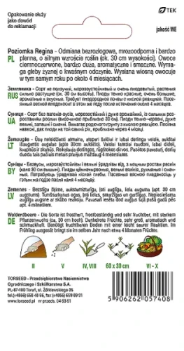 nasiona Poziomka Regina Torseed tył opakowania opis