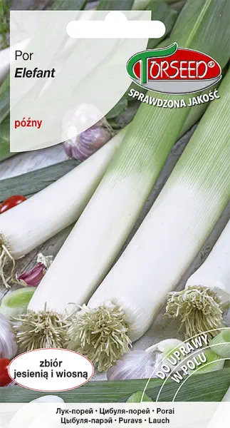 Por Elefant jesienny nasiona Torseed