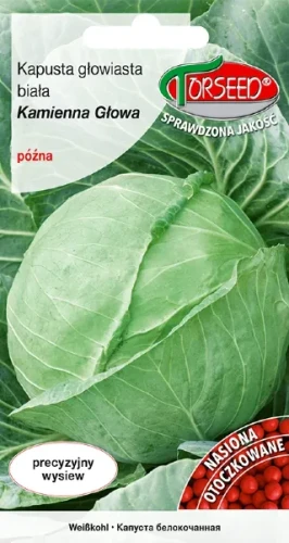 Nasiona kapusty bialej kamienna glowa Torseed