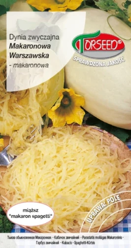 dynia-zwyczajna-makaronowa-torseed