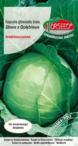Nasiona-kapusty-bialej-slawa-z-golebiewa-torseed