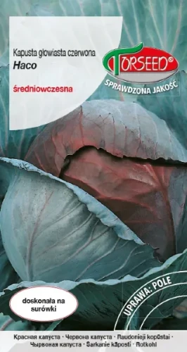 Nasiona-kapusty-czerwonej-haco-torseed