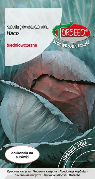 Nasiona-kapusty-czerwonej-haco-torseed