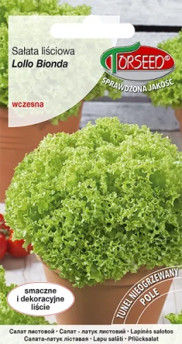 Sałata liściowa Lollo Bionda nasiona Torseed