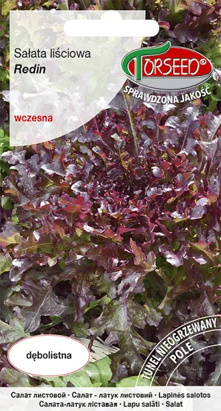 Sałata liściowa czerwona dębolistna Redin nasiona Torseed