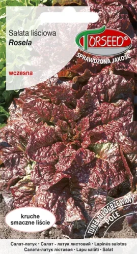 Sałata liściowa czerwono-zielona Rosela nasiona Torseed