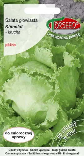 Sałata głowiasta Kamelot krucha typ Batavia nasiona Torseed