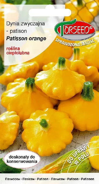 dynia zwyczajna patison orange nasiona torseed