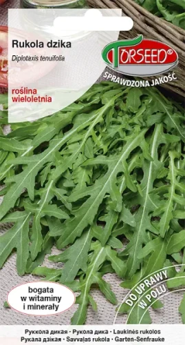 Rukola dzika wieloletnia Diplotaxis tenuifolia nasiona Torseed