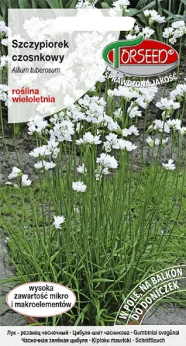 Szczypiorek czosnkowy Allium tuberosum nasiona Torseed