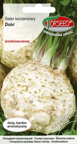 Seler korzeniowy Dolvi typ Prager Reuzen nasiona Torseed