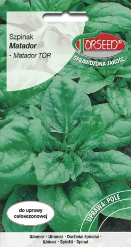 Szpinak Matador TOR nasiona Torseed