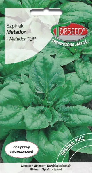 Szpinak Matador TOR nasiona Torseed