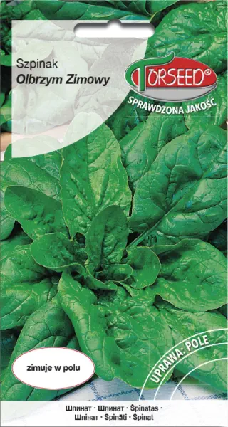Szpinak Olbrzym Zimowy nasiona Torseed