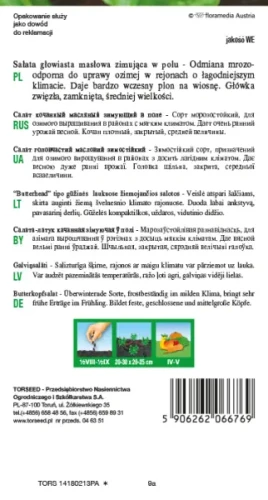 nasiona Sałata głowiasta masłowa zimująca Humil Torseed