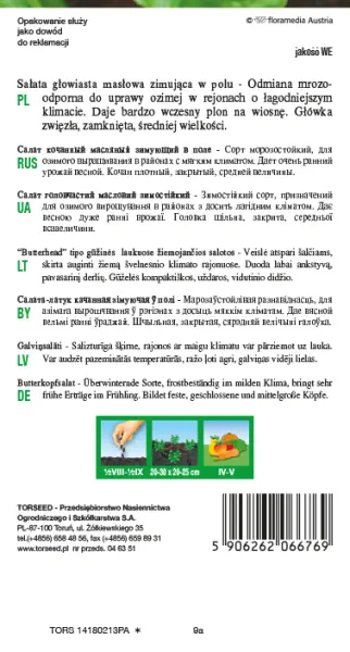 nasiona Sałata głowiasta masłowa zimująca Humil Torseed