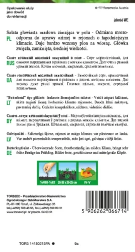 nasiona  Sałata głowiasta masłowa zimująca Zina Torseed
