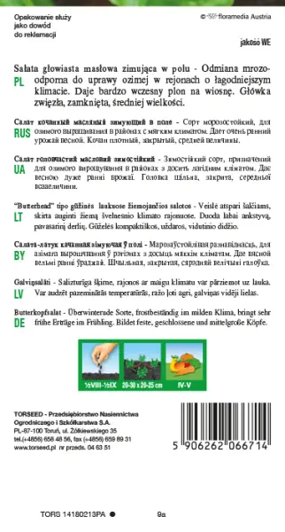 nasiona  Sałata głowiasta masłowa zimująca Zina Torseed