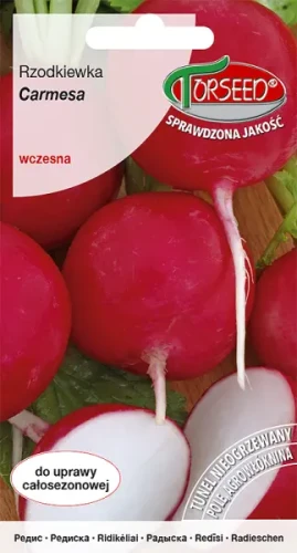 Rzodkiewka czerwona okrągła Carmesa nasiona Torseed