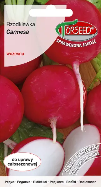 Rzodkiewka czerwona okrągła Carmesa nasiona Torseed