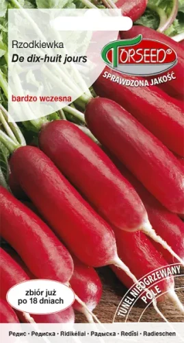 Rzodkiewka podłużna czerwono-biała De dix-huit jours nasiona Torseed