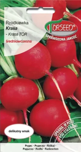 Rzodkiewka czerwona okrągła Krasa nasiona Torseed