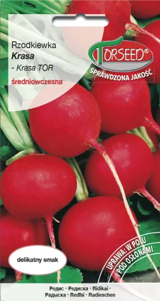 Rzodkiewka czerwona okrągła Krasa nasiona Torseed