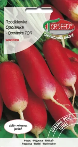 Rzodkiewka cylindryczna czerwono-biała Opolanka nasiona Torseed