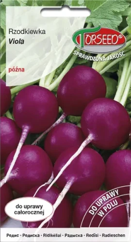 Rzodkiewka fioletowa okrągła Viola nasiona Torseed