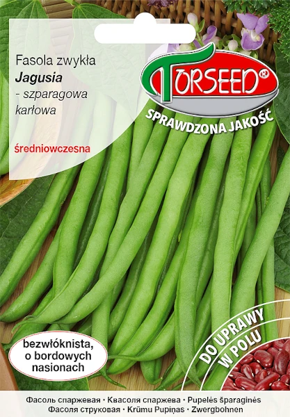 fasola szaparagowa nasiona torseed