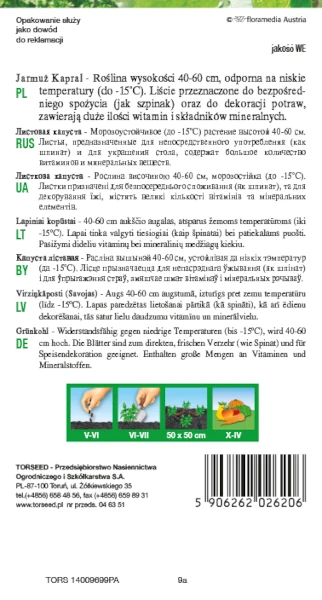 jarmuz kapral nasiona torseed rewers