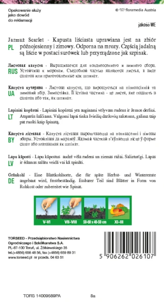 jarmuz-scarlet-nasiona-torseed-rewers