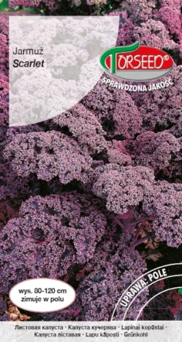 jarmuz-scarlet-nasiona-torseed