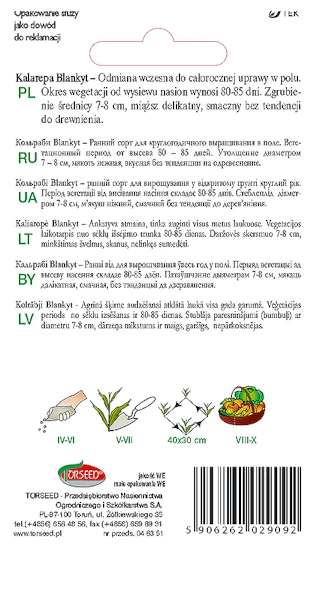 kalarepa-odmiana-wczesna-nasiona-torseed-rewers