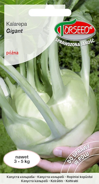 kalarepa-odmiana-pozna-nasiona-torseed