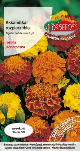 aksamitka-rozpierzchla-niska-torseed