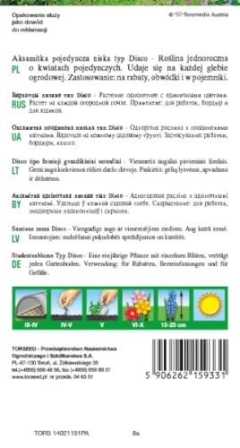 aksamitka jednoroczna pojedyncza disco torseed rewers