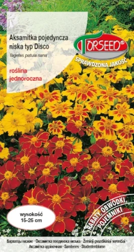 aksamitka jednoroczna pojedyncza disco torseed