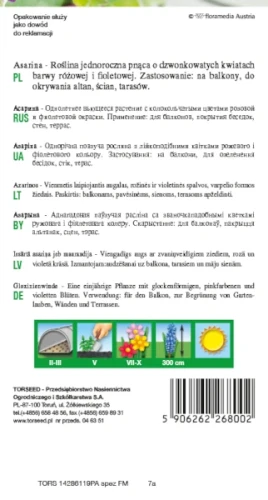 mieszanka kwiatow asarina torseed rewers