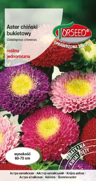 Aster wysoki bukietowy torseed.webp